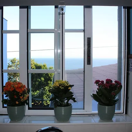 Hello Terceira